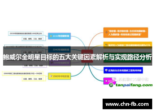 鲍威尔全明星目标的五大关键因素解析与实现路径分析 鲍威尔全明星目标的五大关键因素解析与实现路径分析