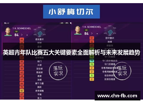 英超青年队比赛五大关键要素全面解析与未来发展趋势 英超青年队比赛五大关键要素全面解析与未来发展趋势