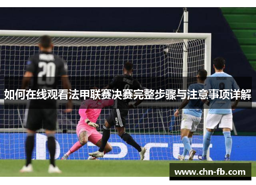 如何在线观看法甲联赛决赛完整步骤与注意事项详解 如何在线观看法甲联赛决赛完整步骤与注意事项详解