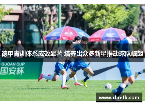 德甲青训体系成效显著 培养出众多新星推动球队崛起 德甲青训体系成效显著 培养出众多新星推动球队崛起
