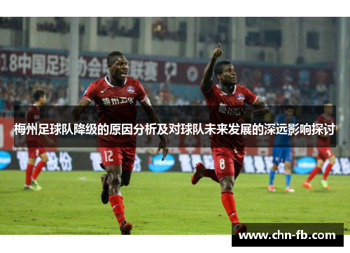 梅州足球队降级的原因分析及对球队未来发展的深远影响探讨 梅州足球队降级的原因分析及对球队未来发展的深远影响探讨