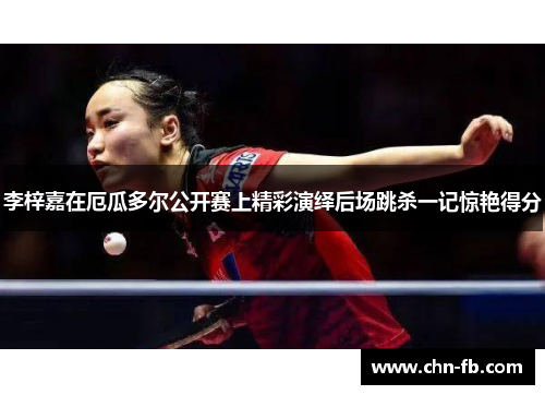 李梓嘉在厄瓜多尔公开赛上精彩演绎后场跳杀一记惊艳得分