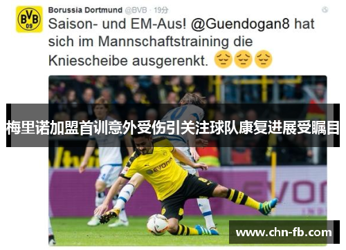 梅里诺加盟首训意外受伤引关注球队康复进展受瞩目